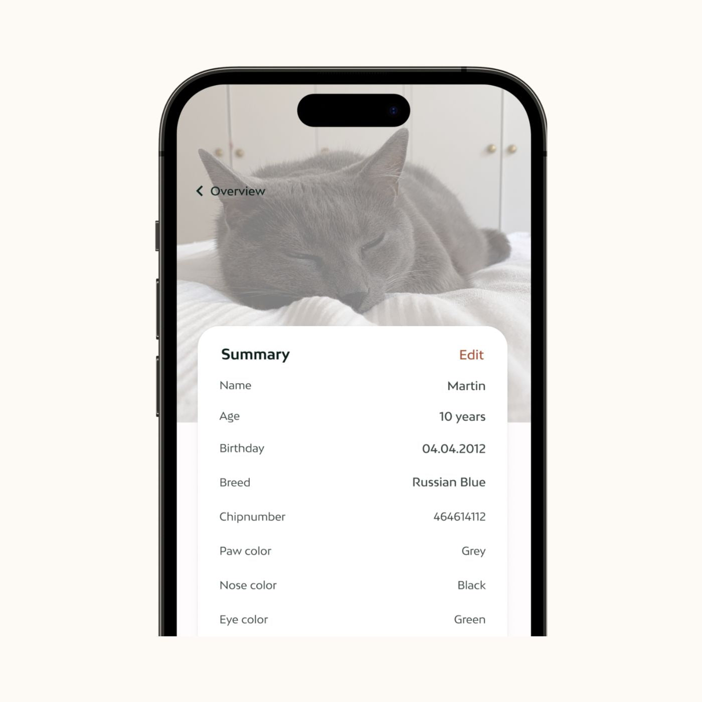 App screen Katzenprofil