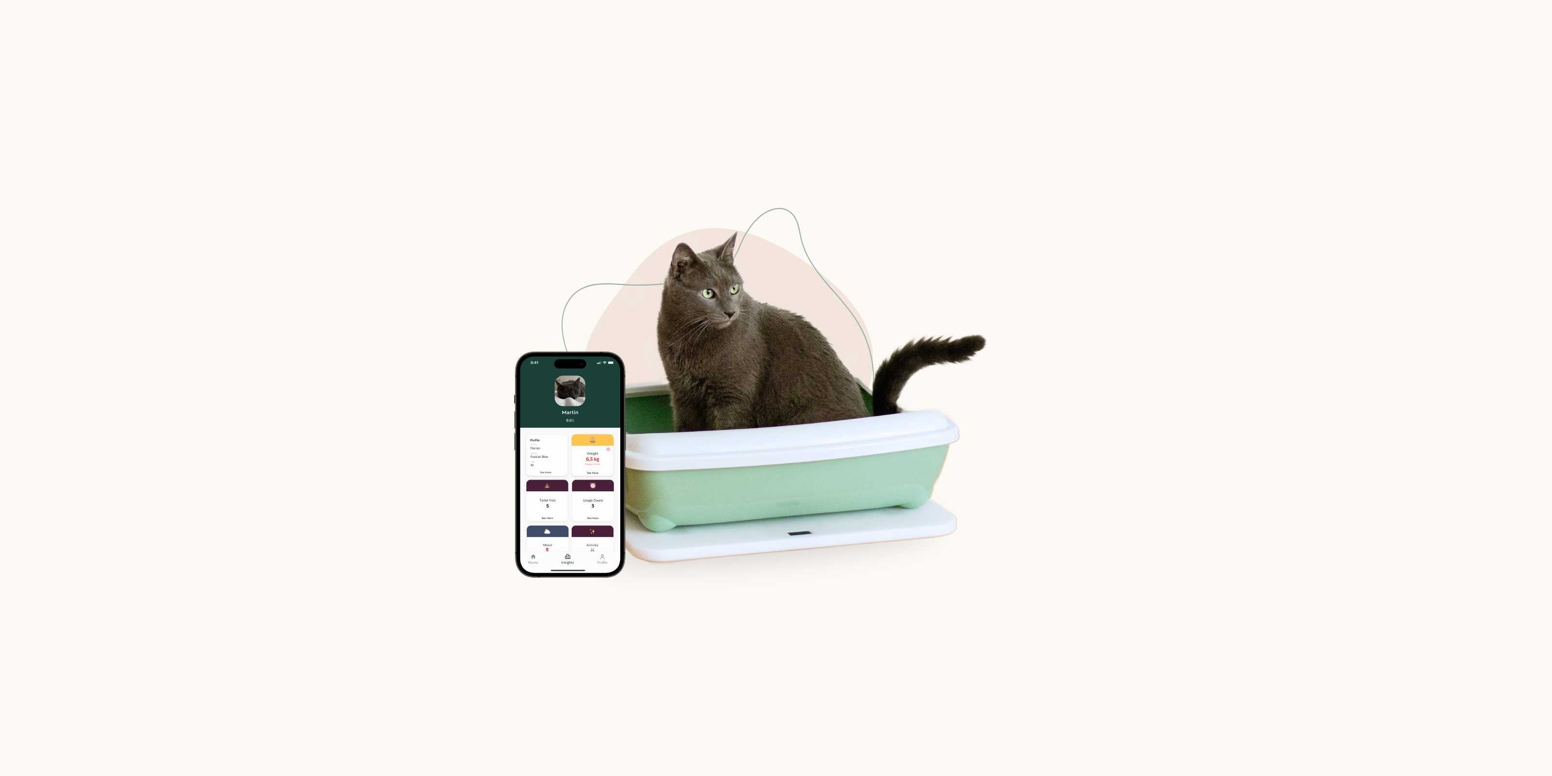 Graue Katze sitzt in der Katzentoilette auf der Feniska Base mit einer App