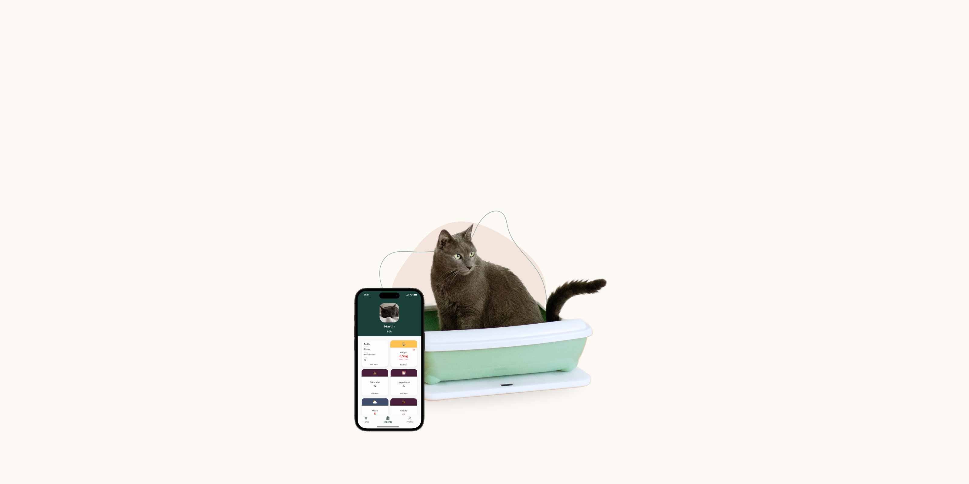Graue Katze auf der Katzentoilette mit Feniska Base und App