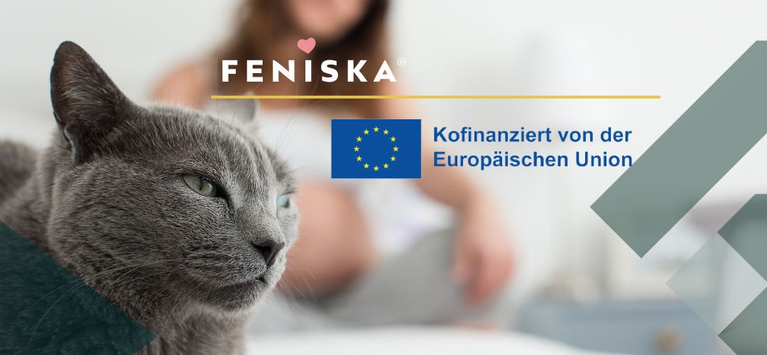 Katzengesundheit powerd by Feniska - Feniska entwickelt gemeinsam mit Tierärzten KI Assistenten für Katzeneltern