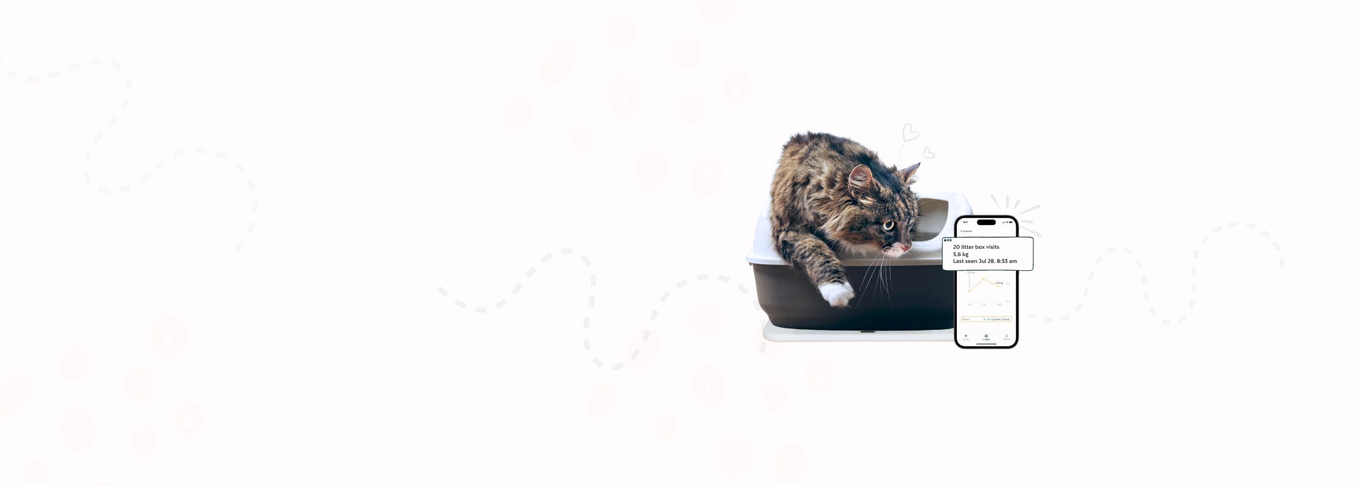 Katze verlässt Katzenklo mit Feniska Base und App im Bild